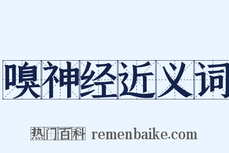 嗅神经近义词是什么意思的图片